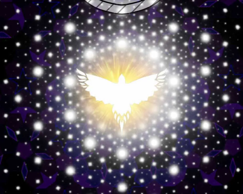 All Beings Are Stars - Bird Tribes