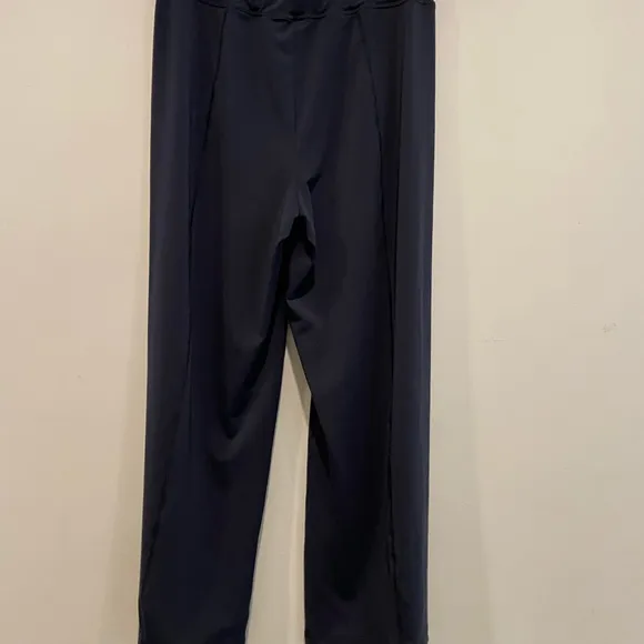 Cabi Athleisure jacket and pants. Size small. EUC