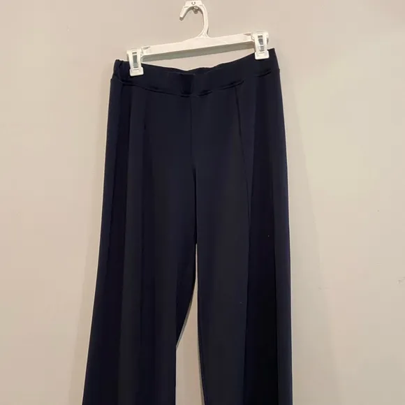 Cabi Athleisure jacket and pants. Size small. EUC