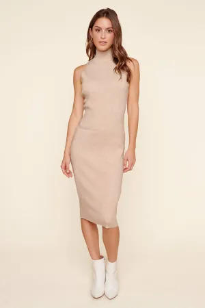 Kieran Ribbed Knit Turtleneck Sweater Dress
