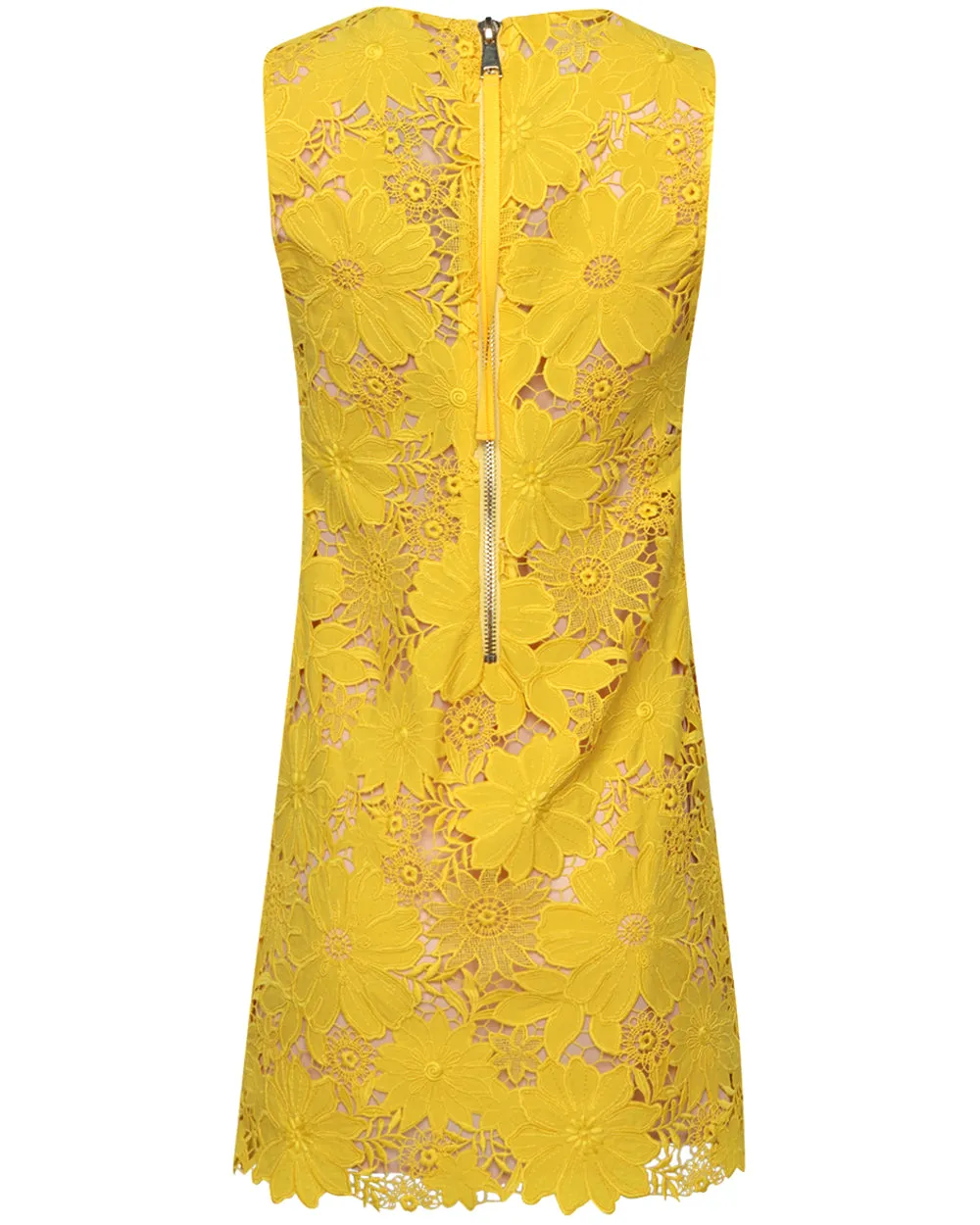 Sunflower Lace Shifter Dress