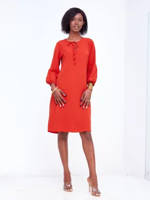 Vivo Imali Bishop Sleeve V-Neck Tie Shift Dress - Rust